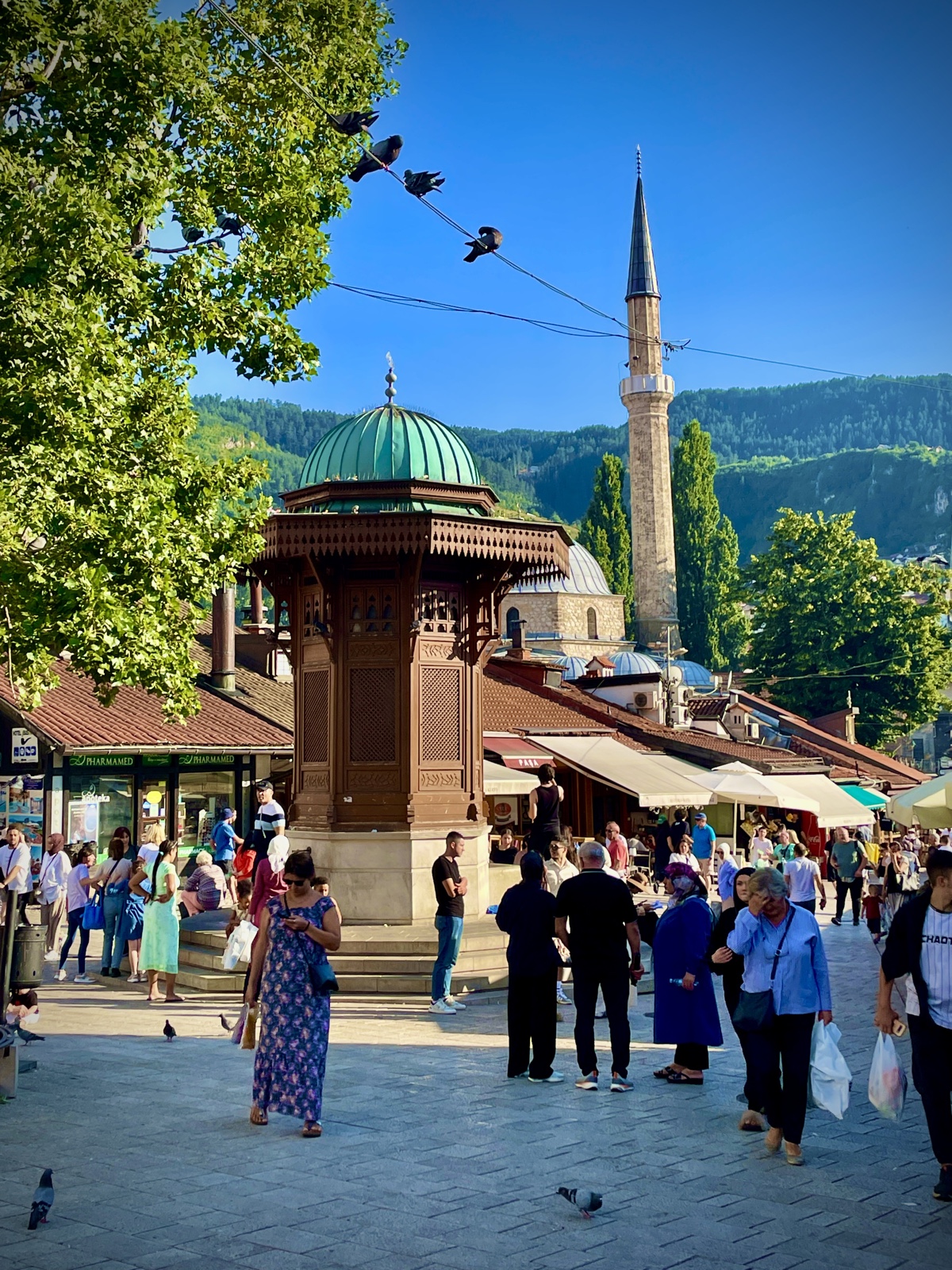 Sebilj Quelle Izvor Source Sarajevo, BiH